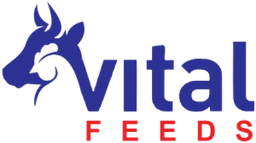 Vital Feeds (Pvt) Ltd logo
